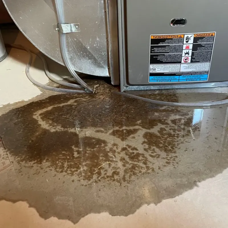 Pipe Burst and Leak Restoration in Eddington, PA